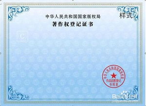 軟件著作權(quán)登記的關(guān)鍵注意事項及實務(wù)指南